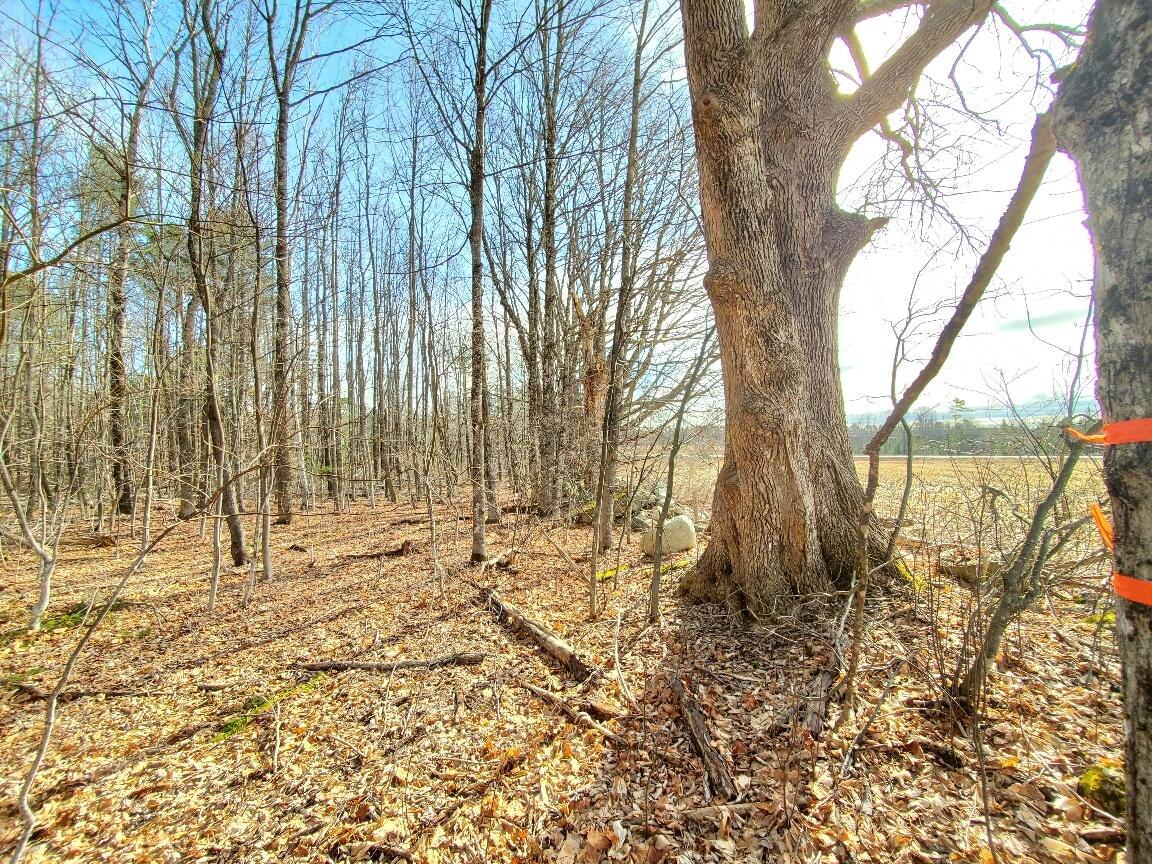 0 Burough Road Dover-foxcroft ME 04426