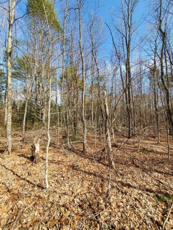 0 Burough Road Dover-foxcroft ME 04426