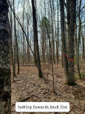 0 Burough Road Dover-foxcroft ME 04426