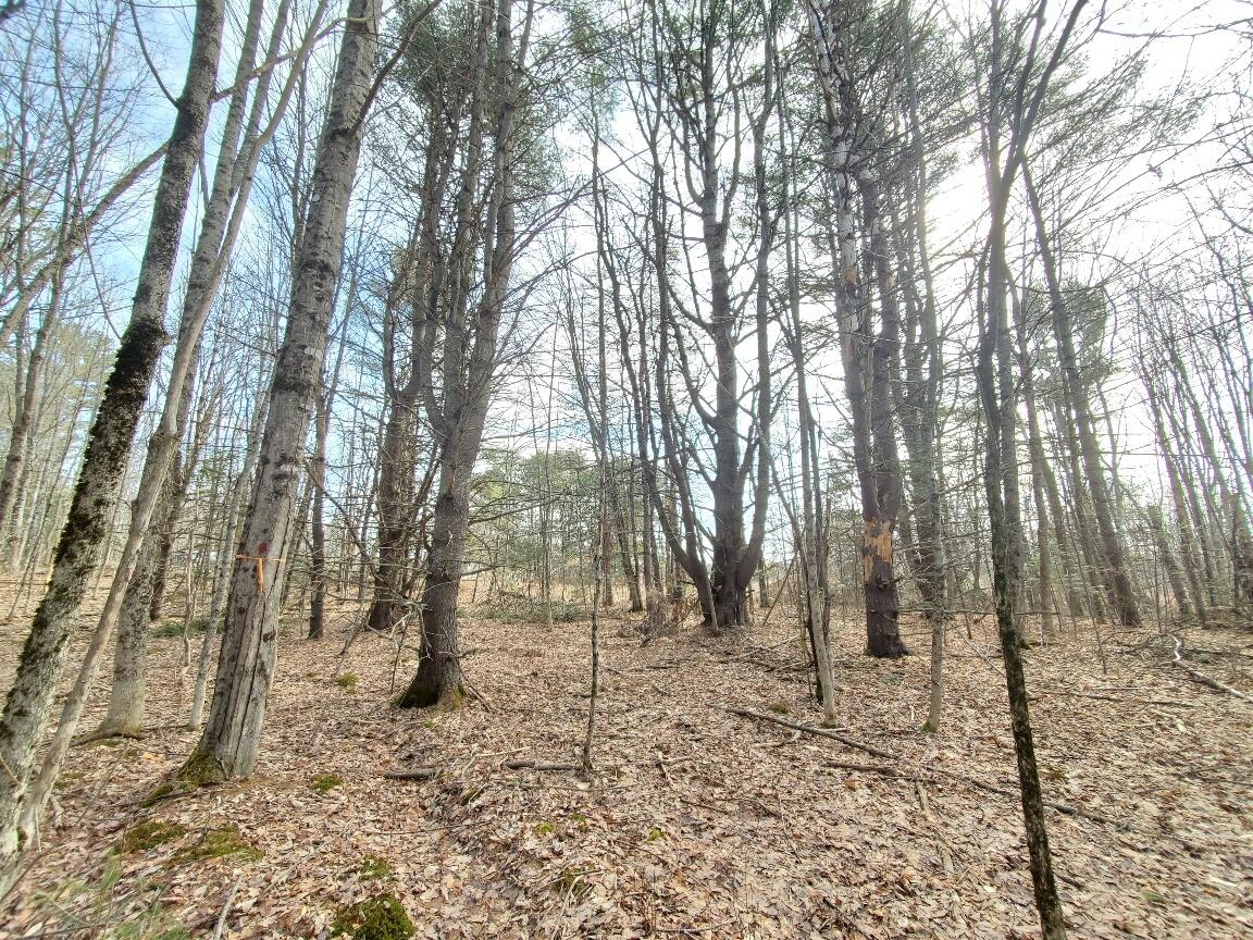 0 Burough Road Dover-foxcroft ME 04426