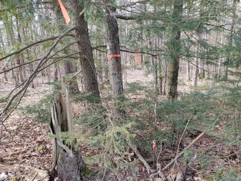 0 Burough Road Dover-foxcroft ME 04426