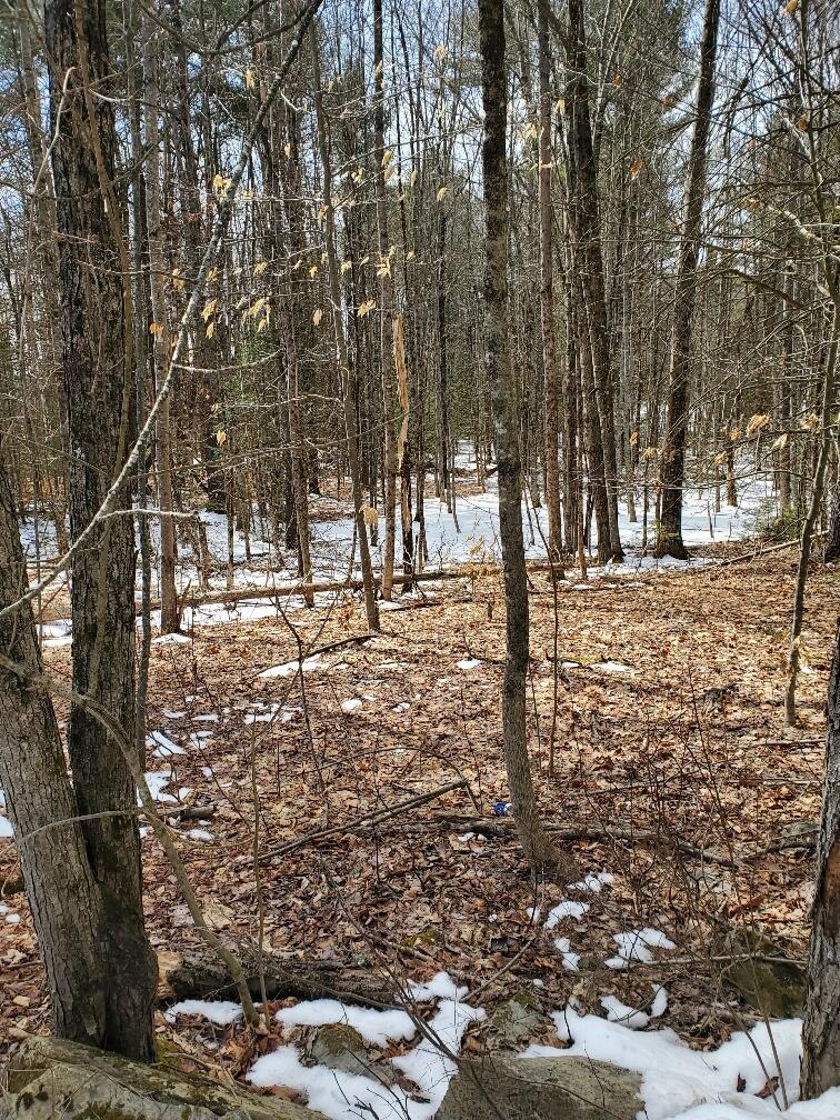 0 Burough Road Dover-foxcroft ME 04426