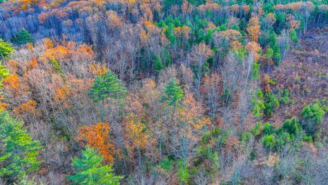 Tbd Main Street Brownfield ME 04010