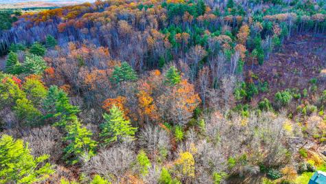 Tbd Main Street Brownfield ME 04010