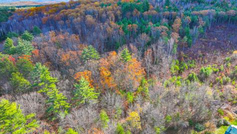 Tbd Main Street Brownfield ME 04010