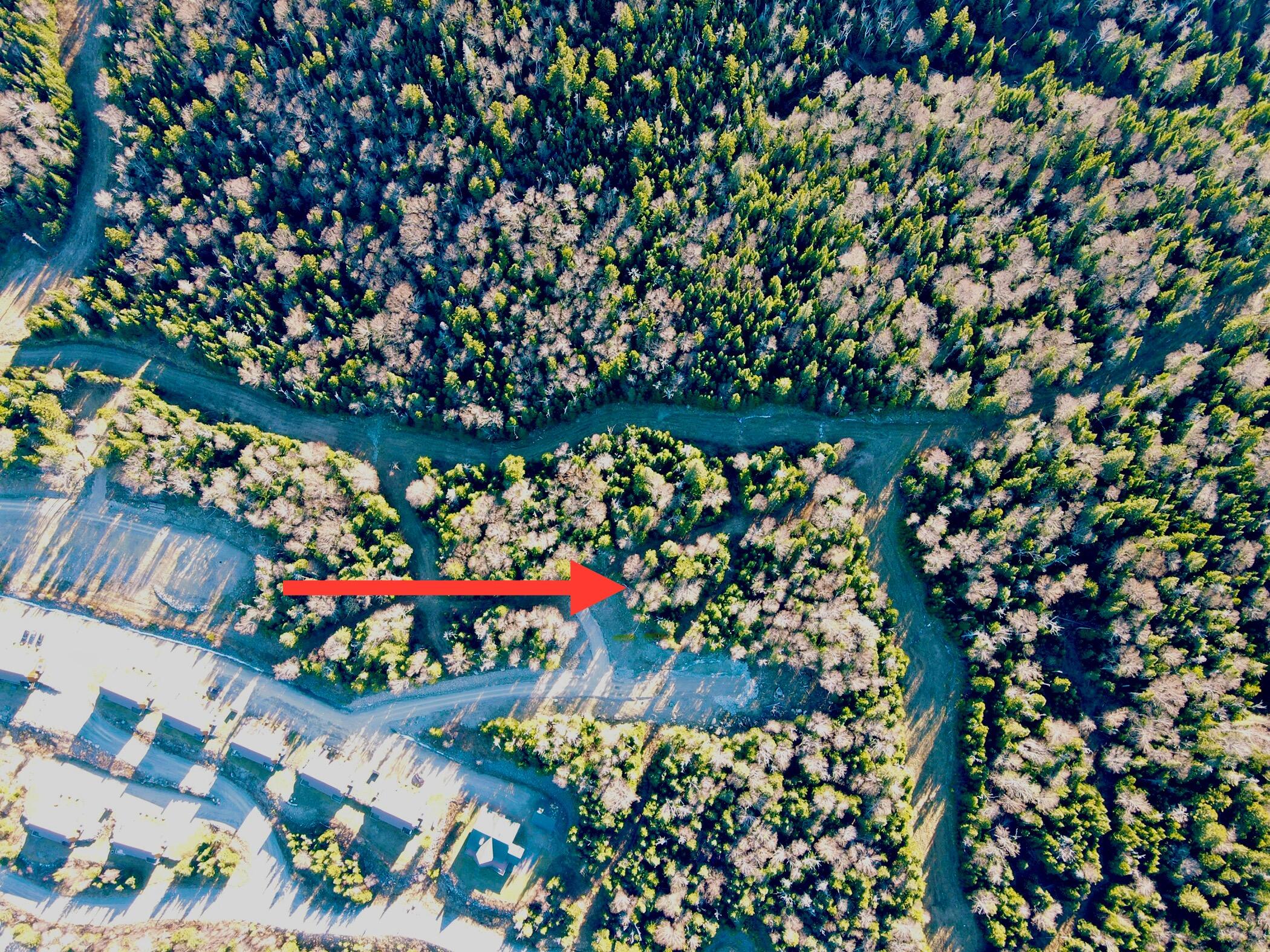 Lot 8 Upper Green Drake Road Sandy River Plt ME 04970