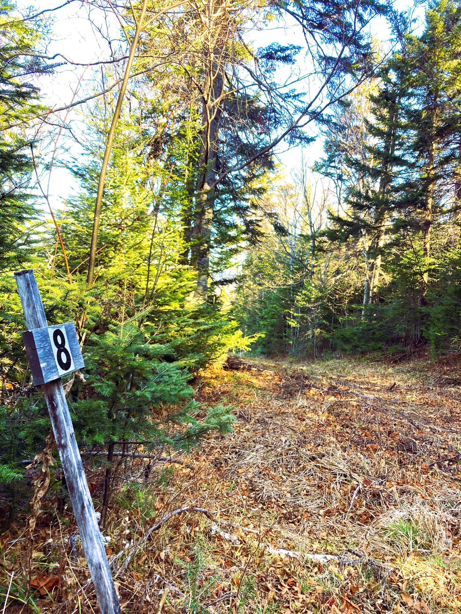 Lot 8 Upper Green Drake Road Sandy River Plt ME 04970