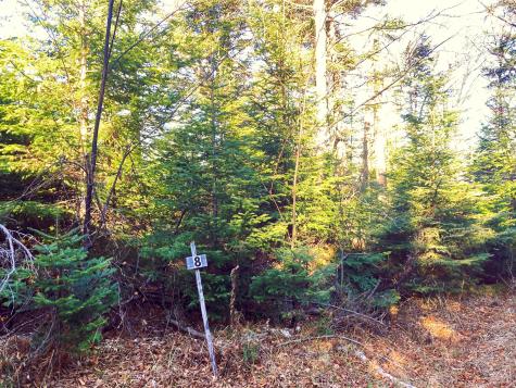 Lot 8 Upper Green Drake Road Sandy River Plt ME 04970