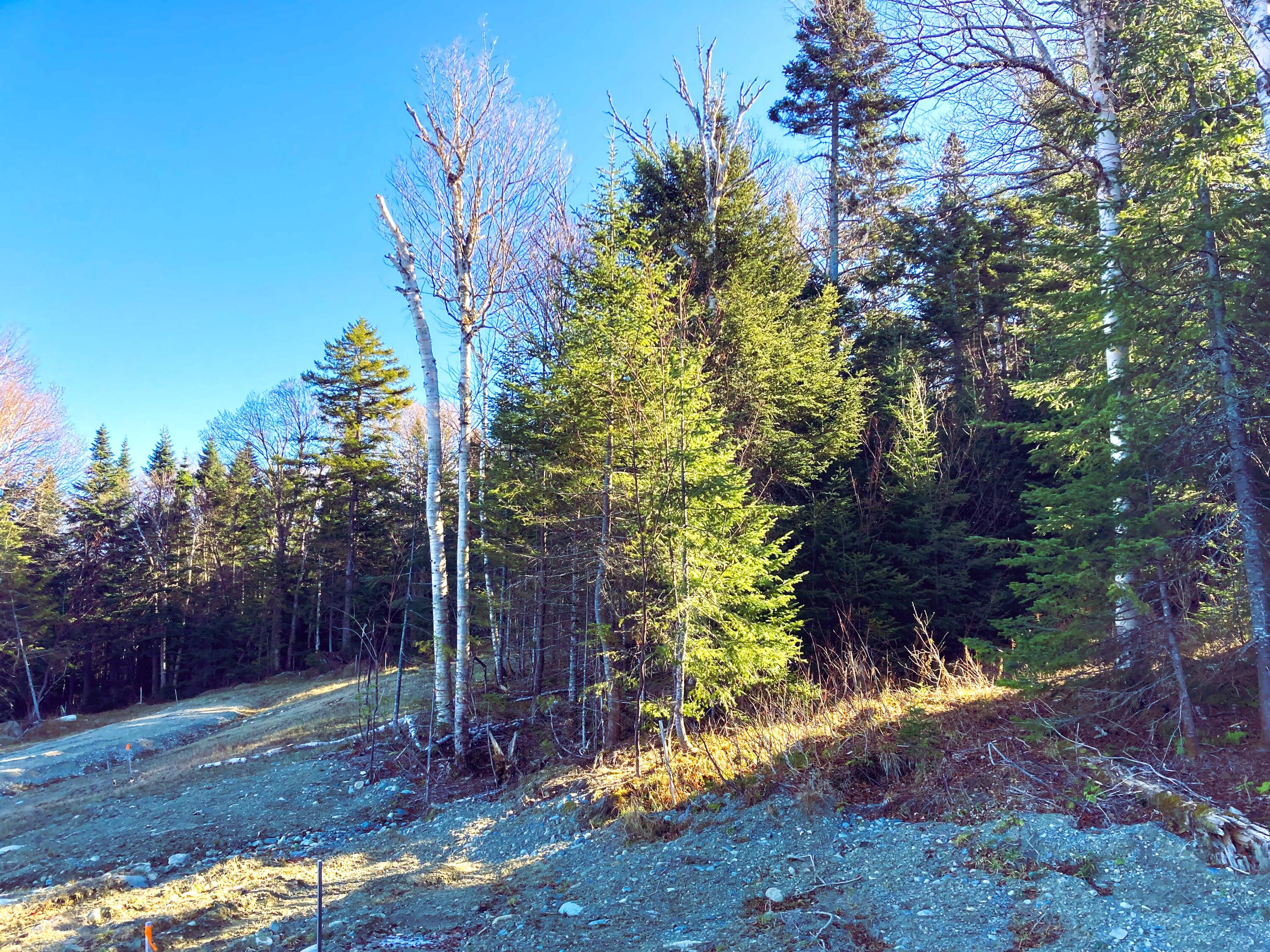 Lot 8 Upper Green Drake Road Sandy River Plt ME 04970