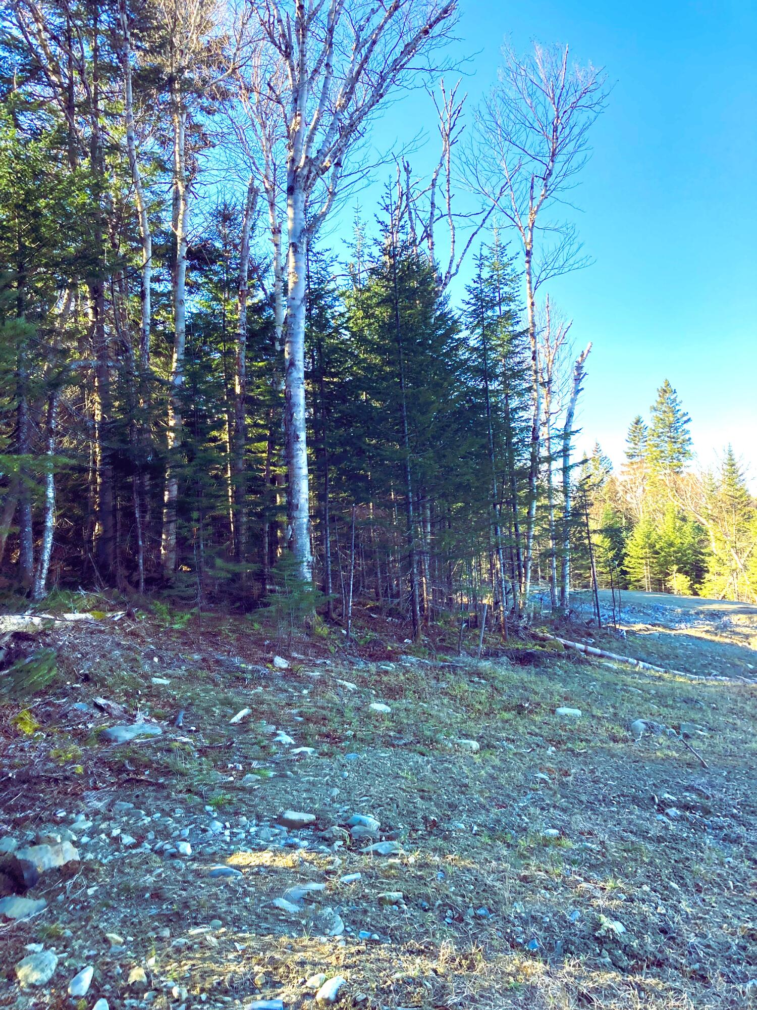 Lot 8 Upper Green Drake Road Sandy River Plt ME 04970