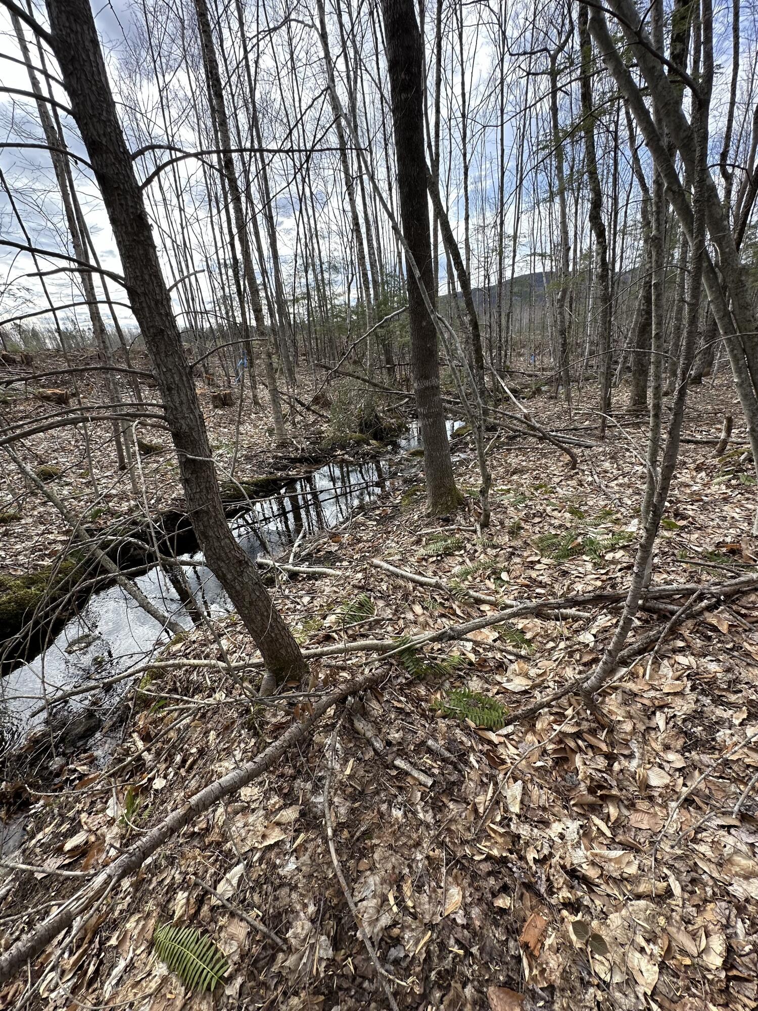 Lot 137.25 French Hill Road Albany Twp ME 04217