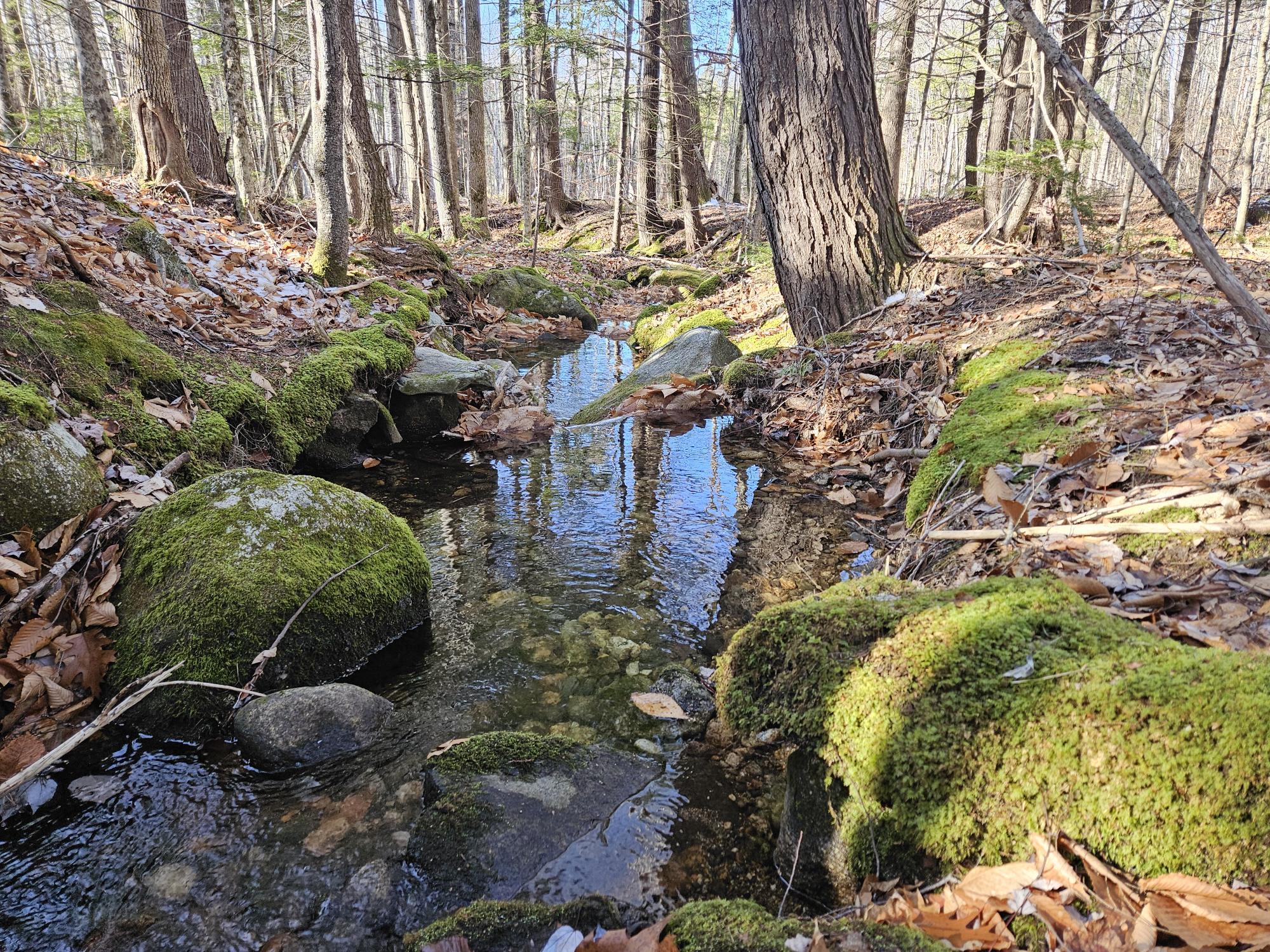 Lot 137.25 French Hill Road Albany Twp ME 04217