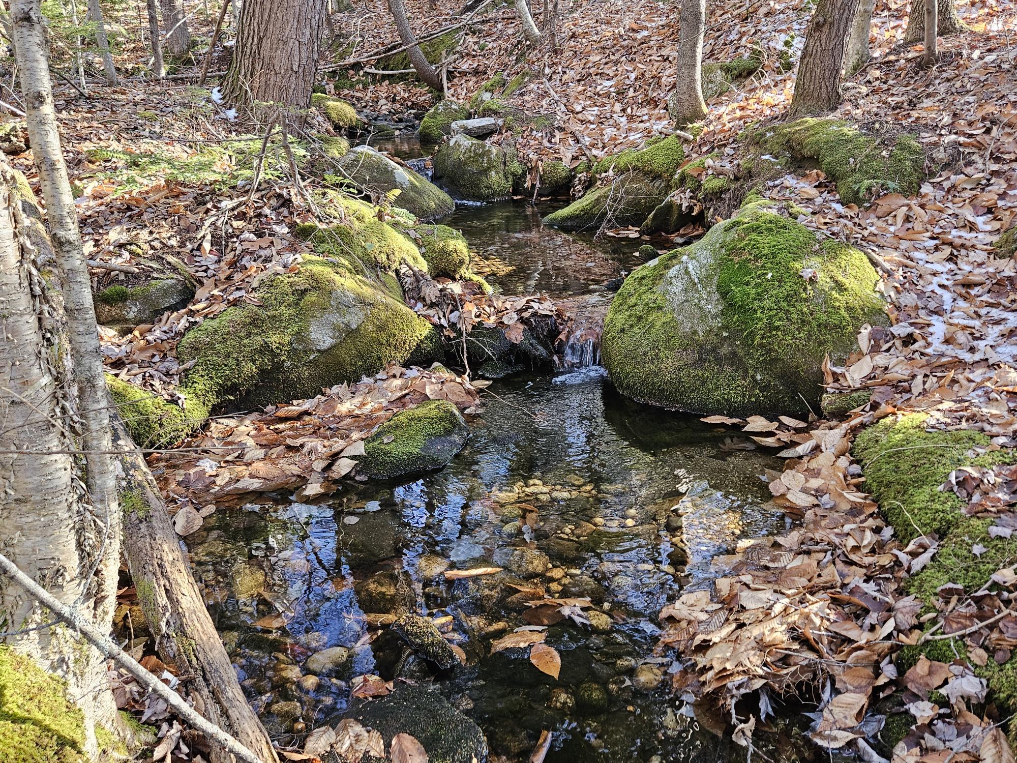 Lot 137.25 French Hill Road Albany Twp ME 04217