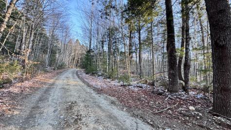 Lot 137.25 French Hill Road Albany Twp ME 04217