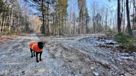 Lot 137.25 French Hill Road Albany Twp ME 04217