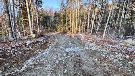 Lot 137.25 French Hill Road Albany Twp ME 04217