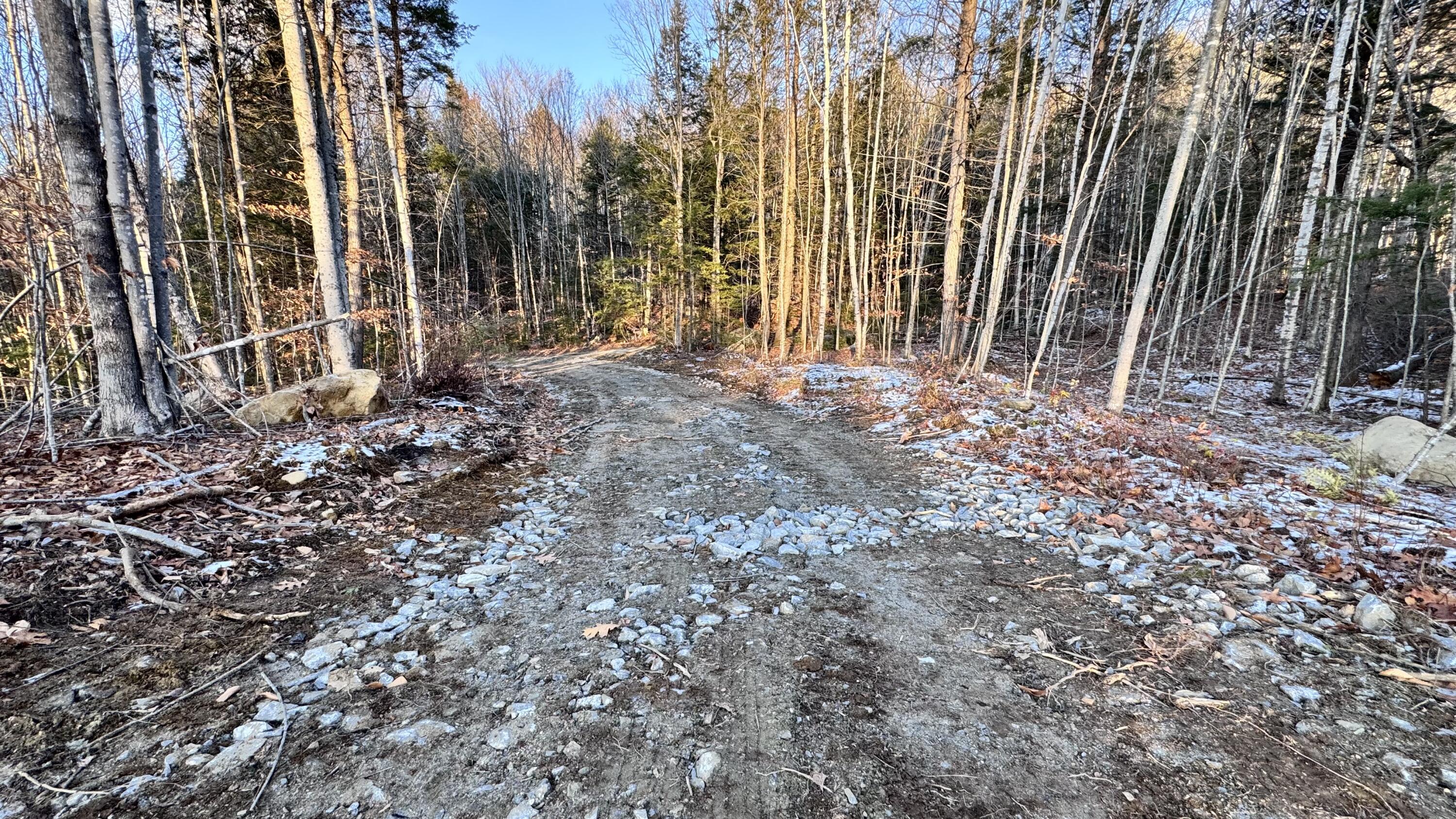 Lot 137.25 French Hill Road Albany Twp ME 04217