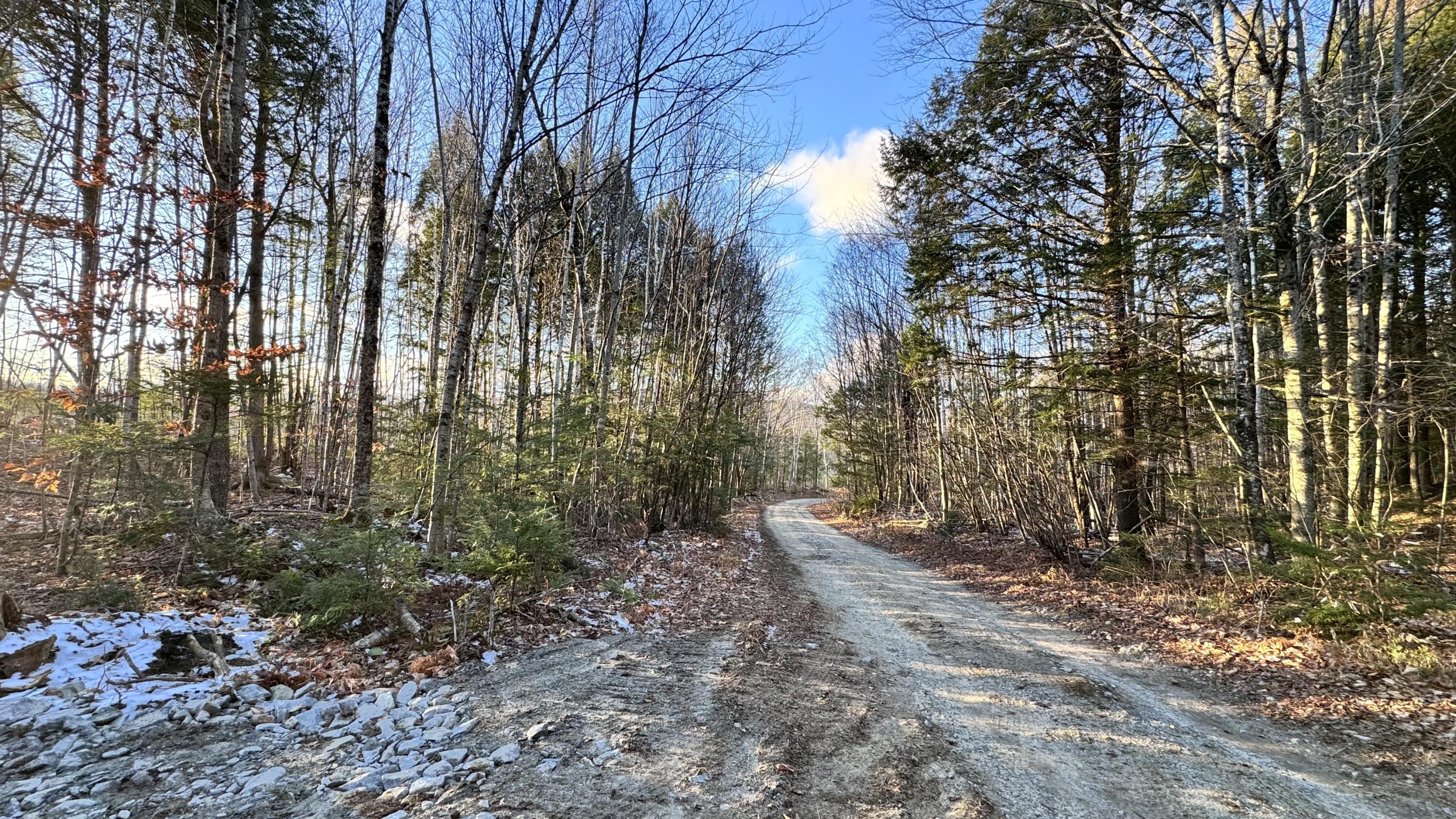 Lot 137.25 French Hill Road Albany Twp ME 04217