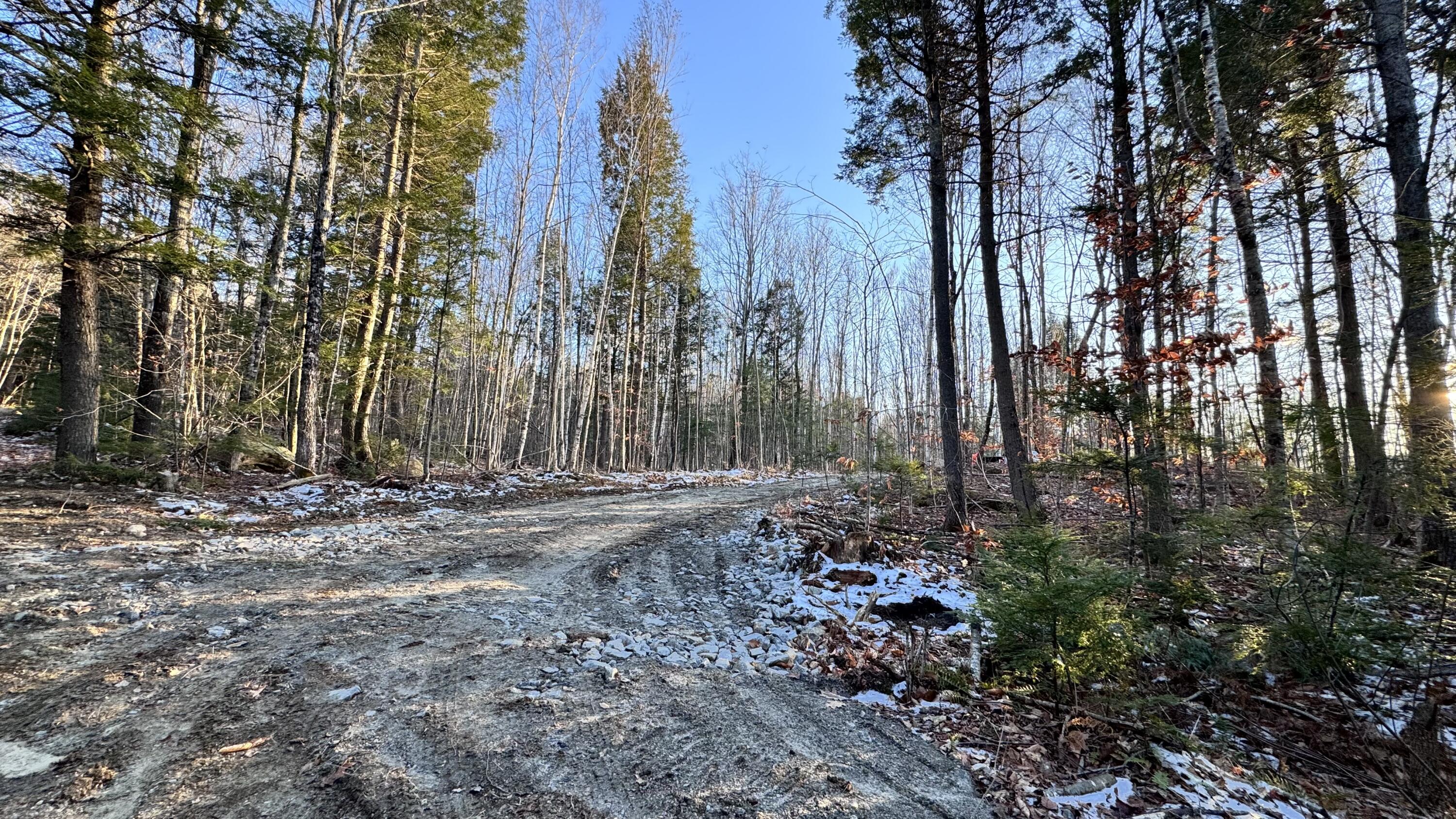 Lot 137.25 French Hill Road Albany Twp ME 04217