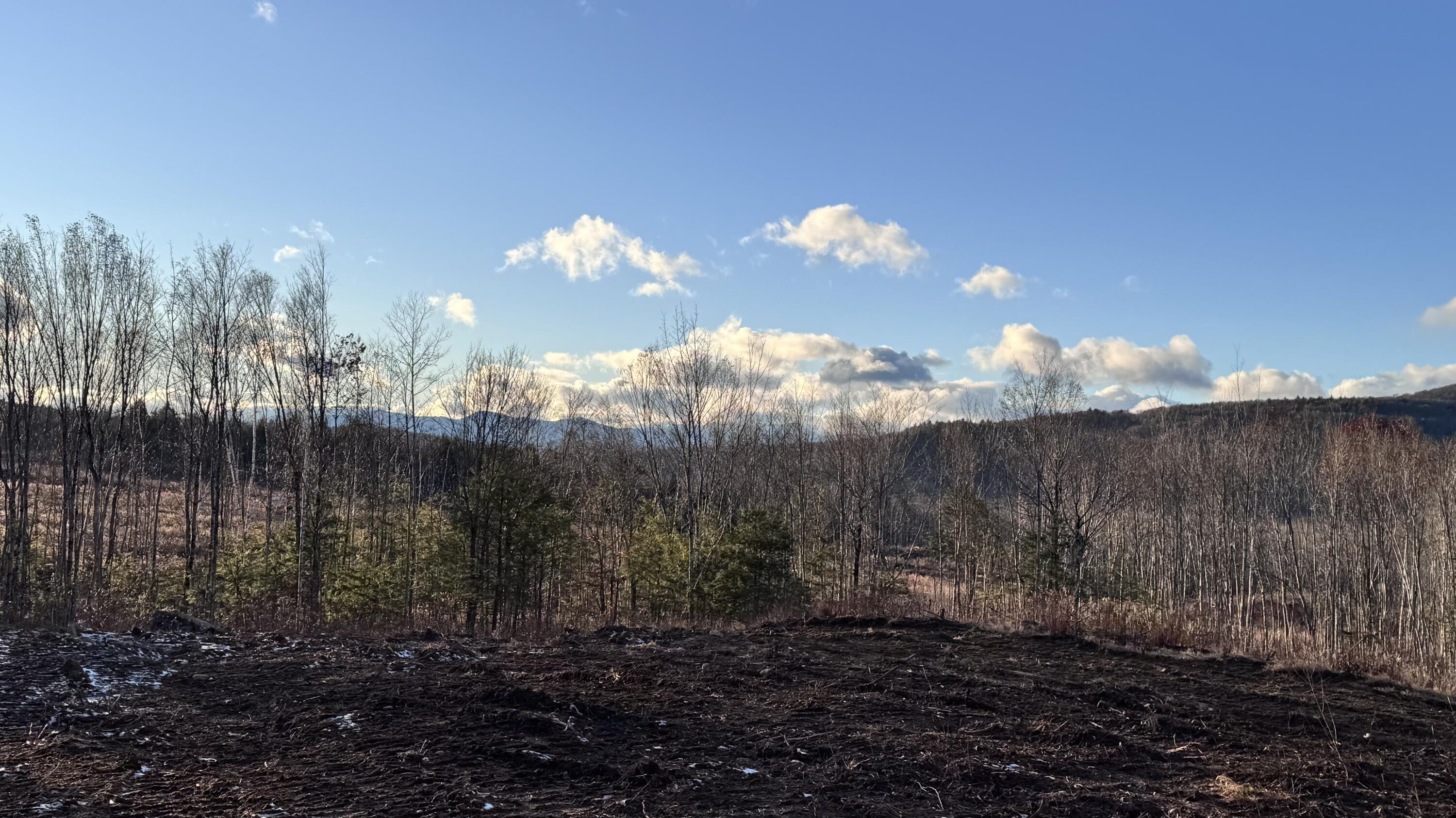 Lot 137.25 French Hill Road Albany Twp ME 04217