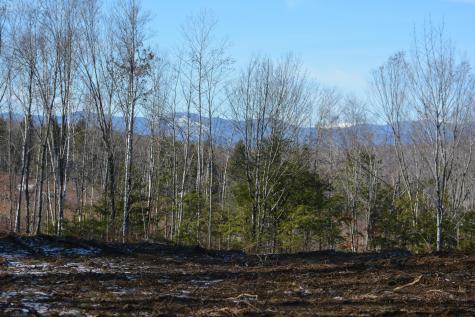 Lot 137.25 French Hill Road Albany Twp ME 04217