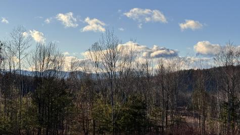 Lot 137.25 French Hill Road Albany Twp ME 04217