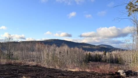 Lot 137.25 French Hill Road Albany Twp ME 04217