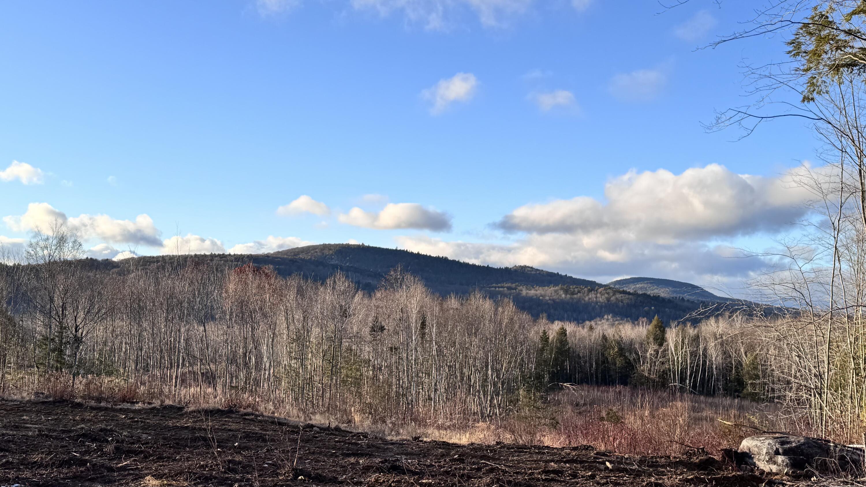 Lot 137.25 French Hill Road Albany Twp ME 04217