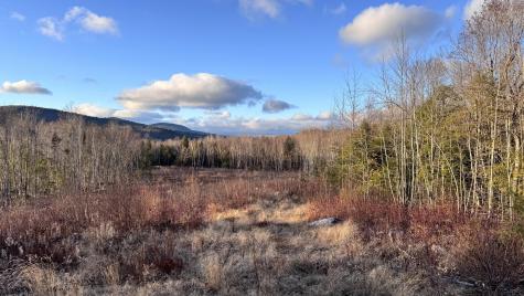 Lot 137.25 French Hill Road Albany Twp ME 04217