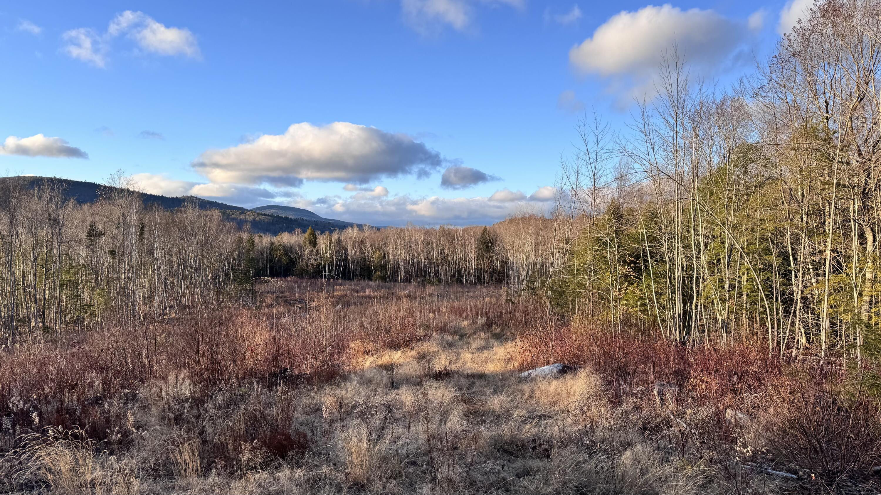 Lot 137.25 French Hill Road Albany Twp ME 04217