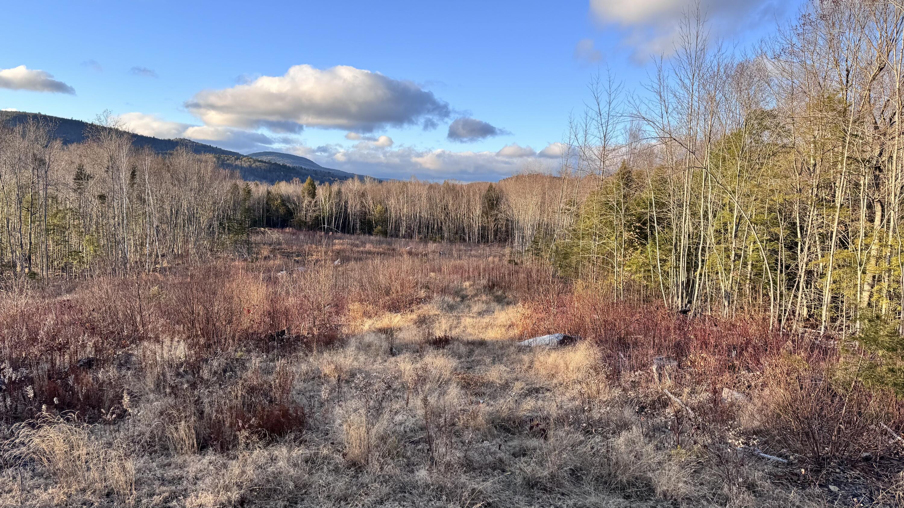 Lot 137.25 French Hill Road Albany Twp ME 04217