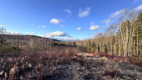 Lot 137.25 French Hill Road Albany Twp ME 04217