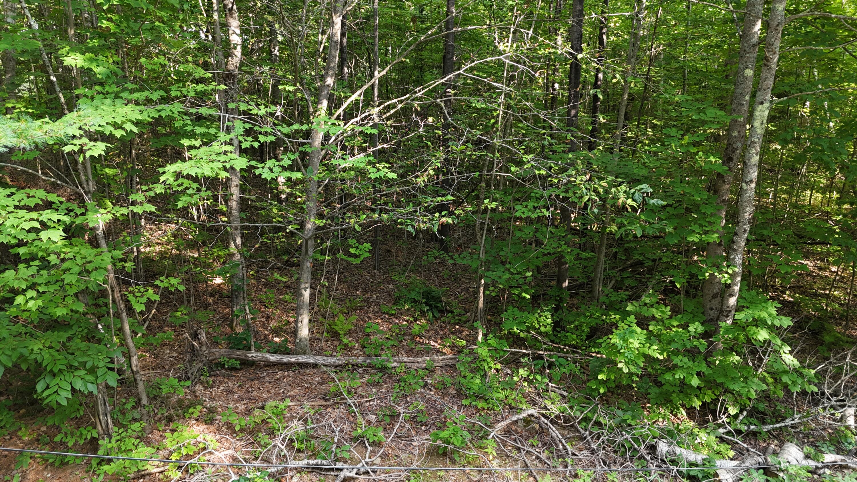 Lot 3-12 Shady Lane Newport ME 04953
