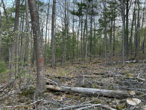 M46,L19,23 River Road Bucksport ME 04416