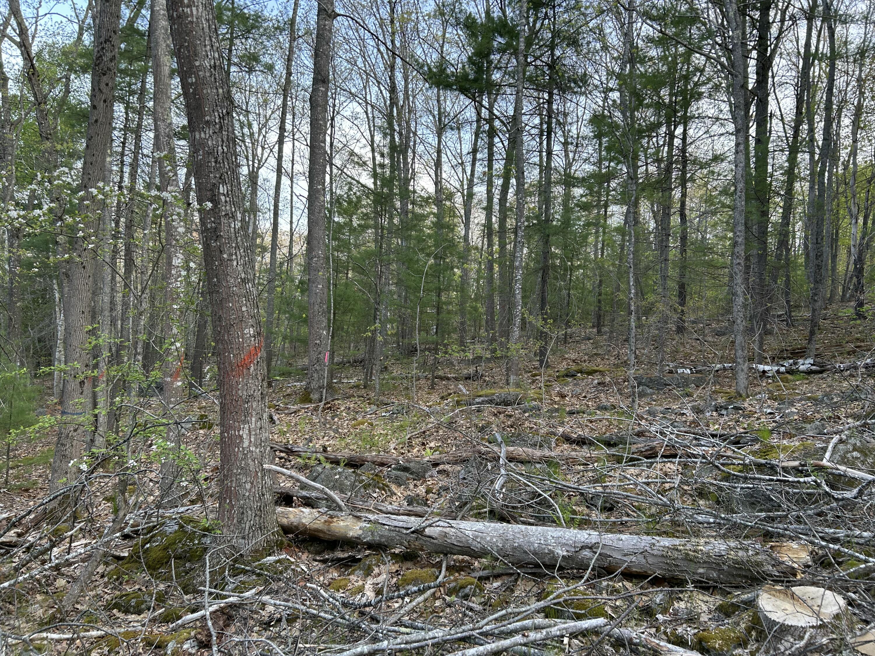 M46,L19,23 River Road Bucksport ME 04416