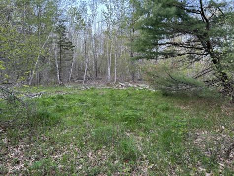 M46,L19,23 River Road Bucksport ME 04416