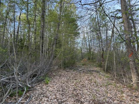 M46,L19,23 River Road Bucksport ME 04416
