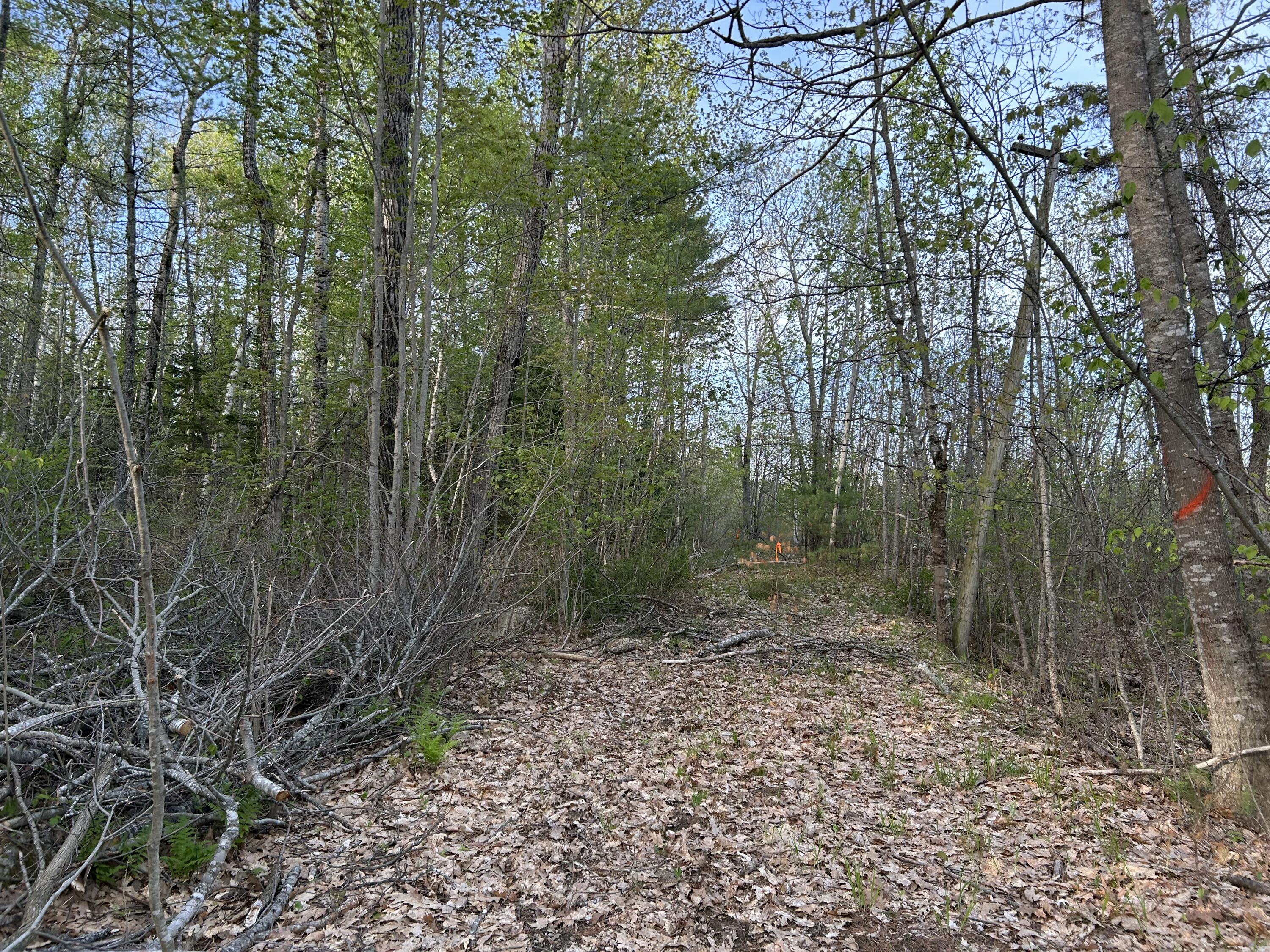 M46,L19,23 River Road Bucksport ME 04416