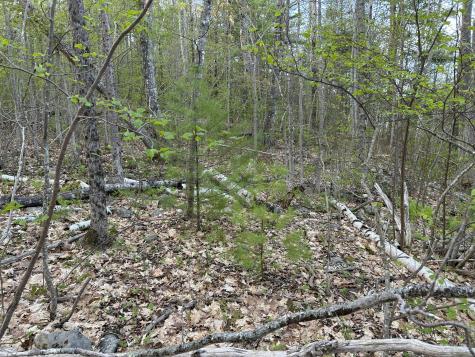 M46,L19,23 River Road Bucksport ME 04416