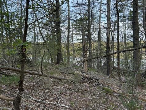 M46,L19,23 River Road Bucksport ME 04416