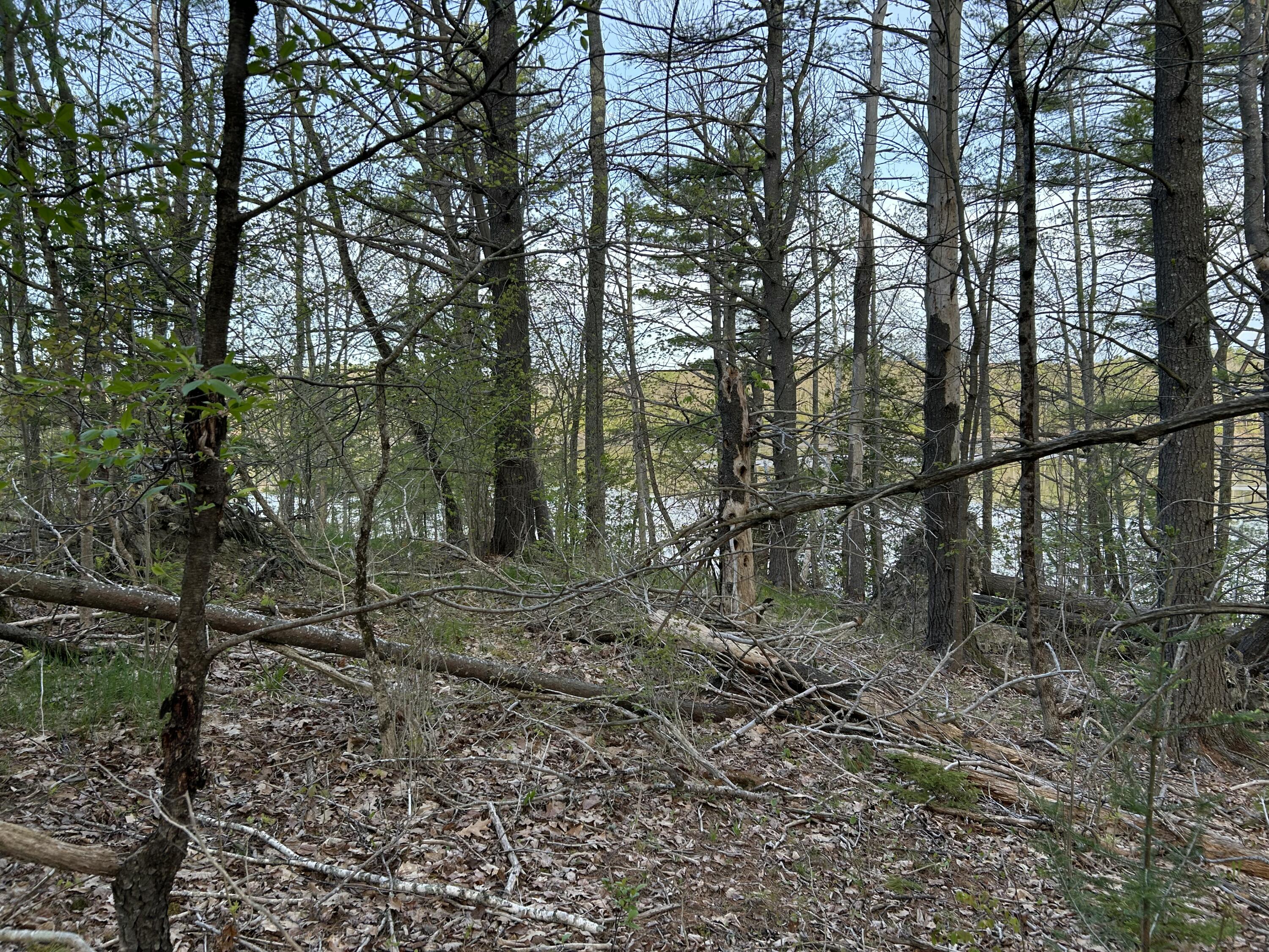 M46,L19,23 River Road Bucksport ME 04416