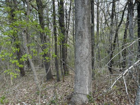 M46,L19,23 River Road Bucksport ME 04416