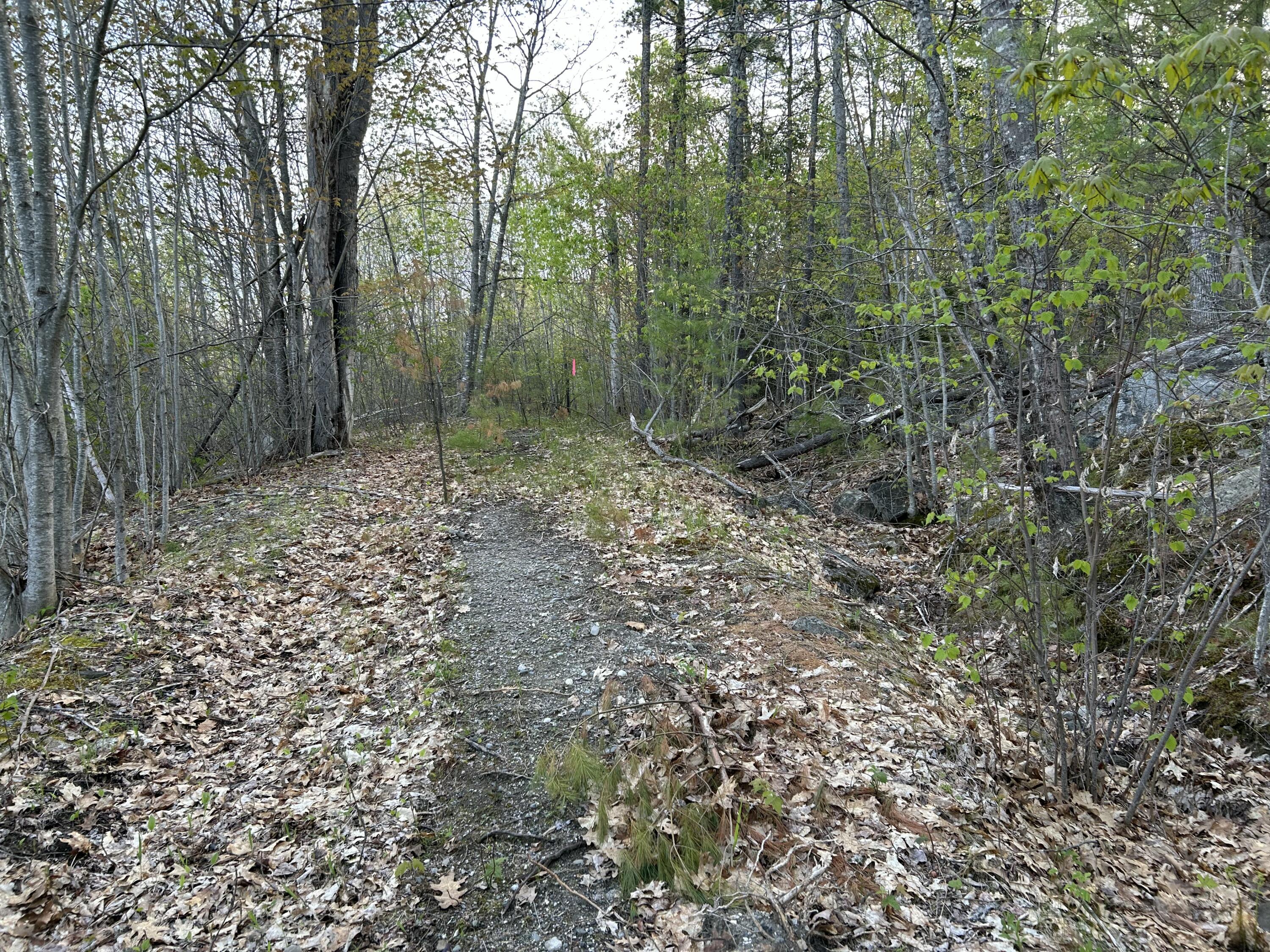 M46,L19,23 River Road Bucksport ME 04416