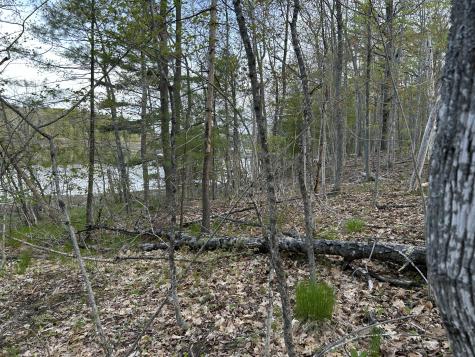 M46,L19,23 River Road Bucksport ME 04416