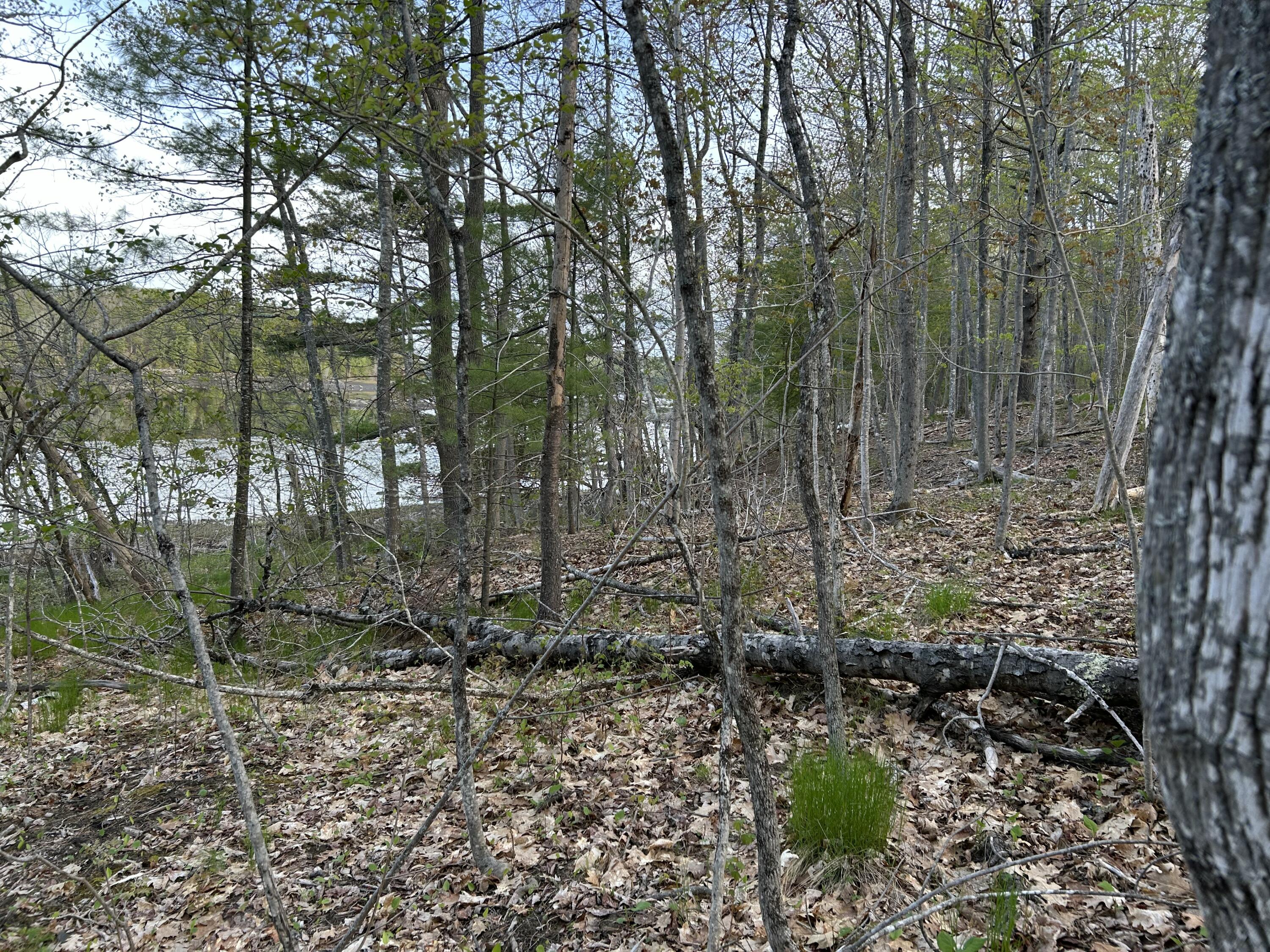 M46,L19,23 River Road Bucksport ME 04416