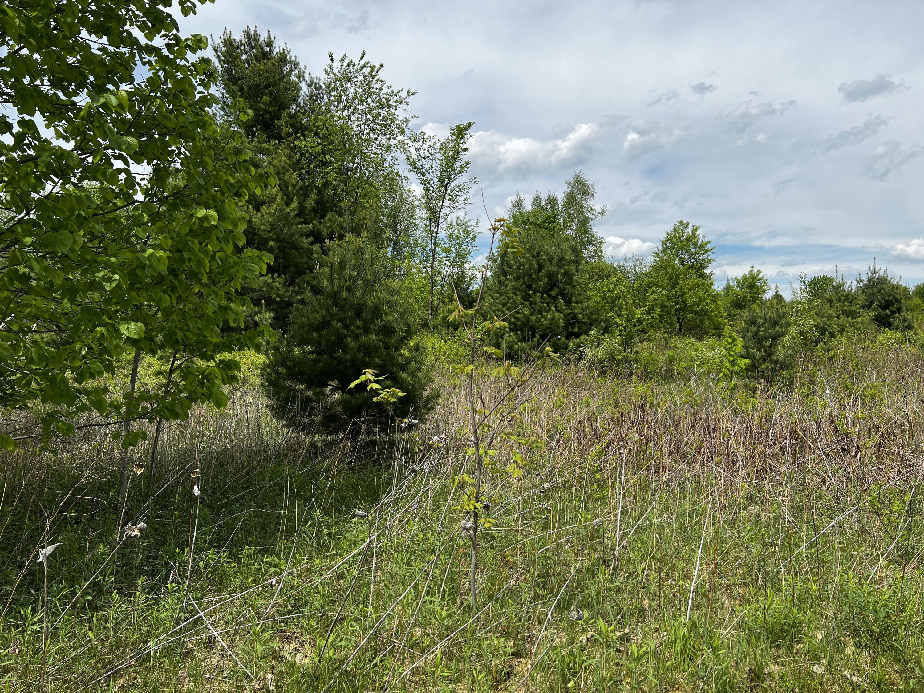 Lot 6 Emery Farm Road Medford ME 04463