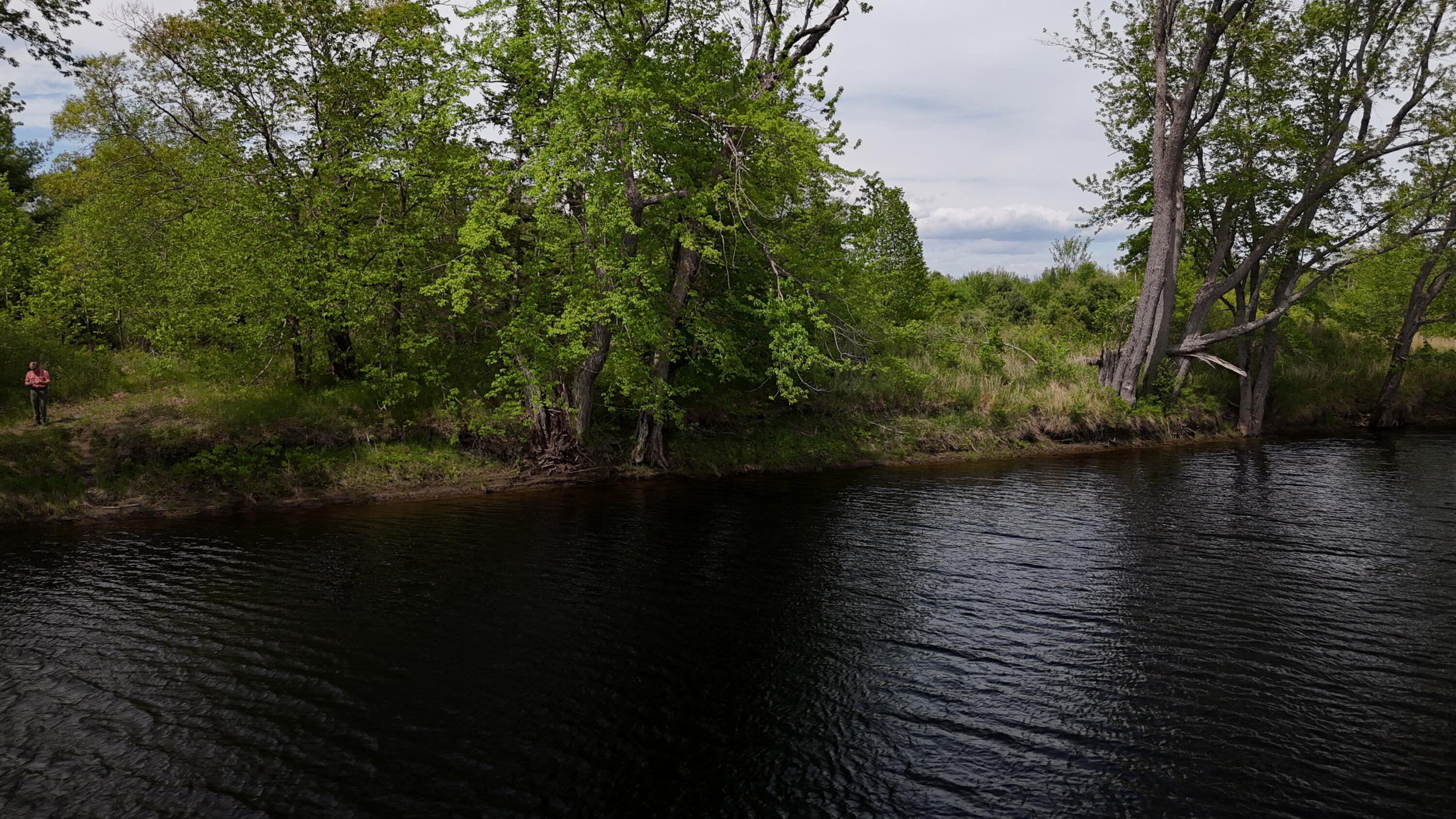 Lot 6 Emery Farm Road Medford ME 04463