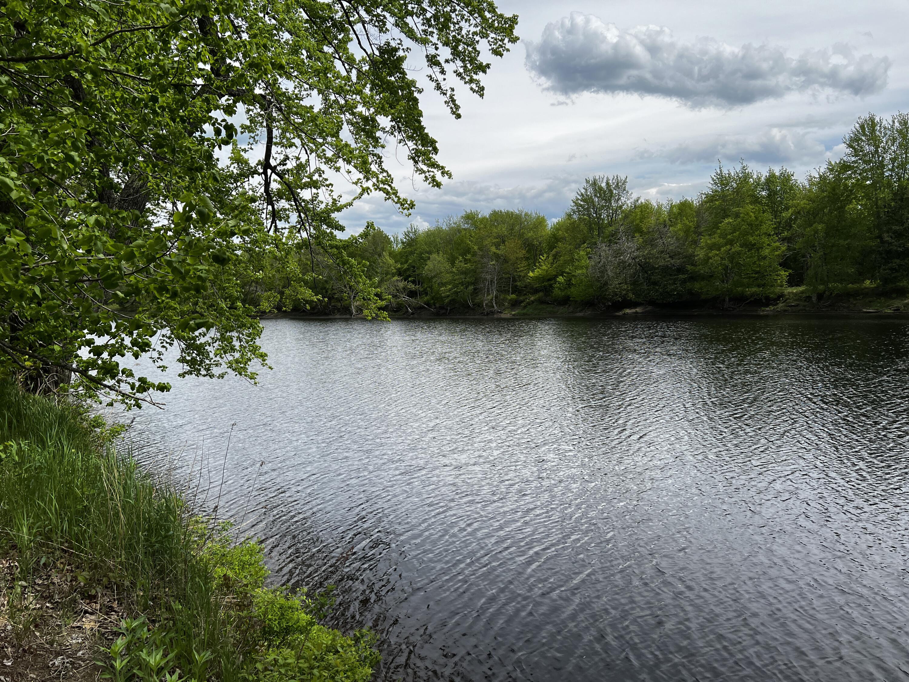 Lot 6 Emery Farm Road Medford ME 04463