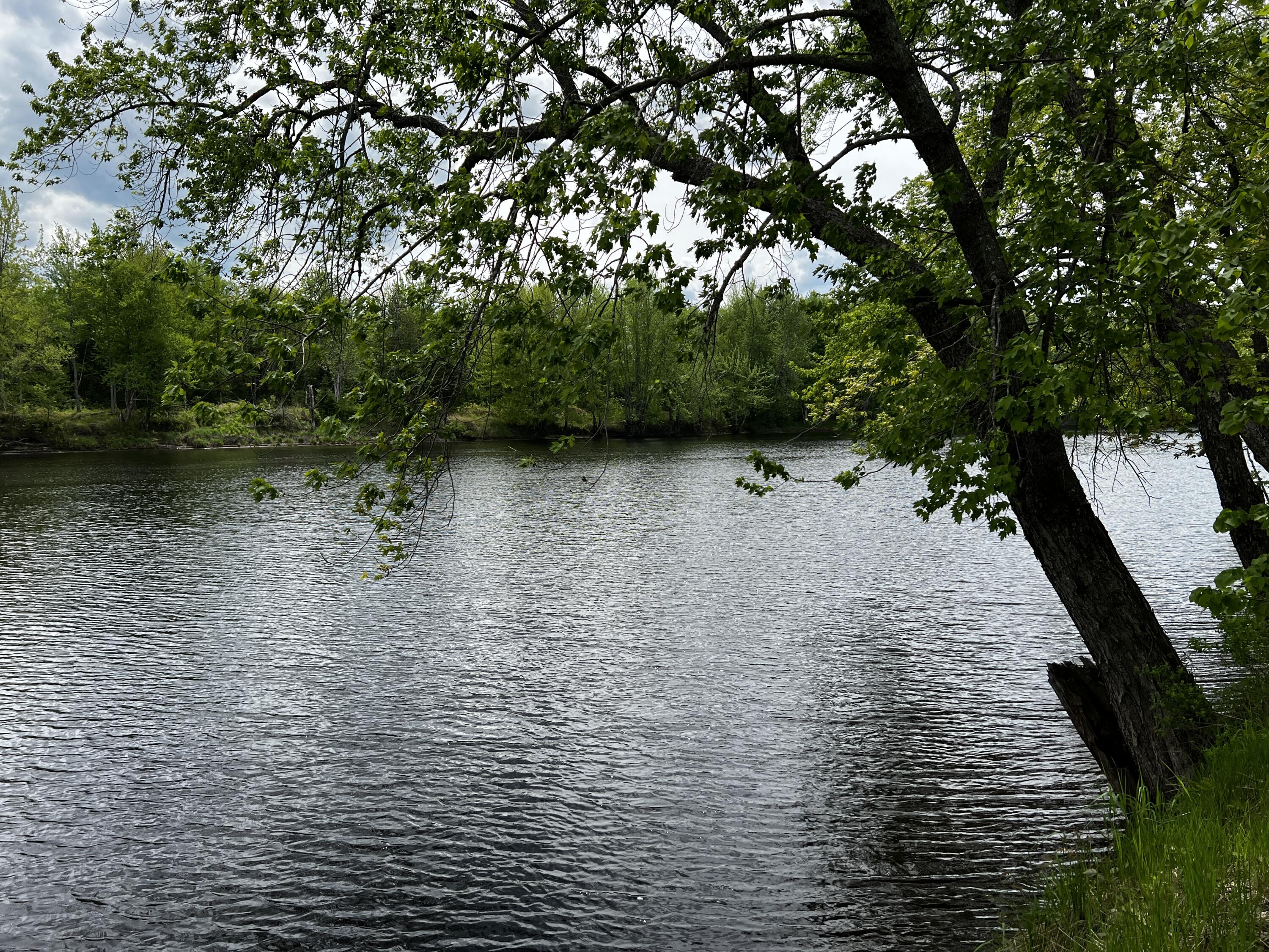 Lot 6 Emery Farm Road Medford ME 04463