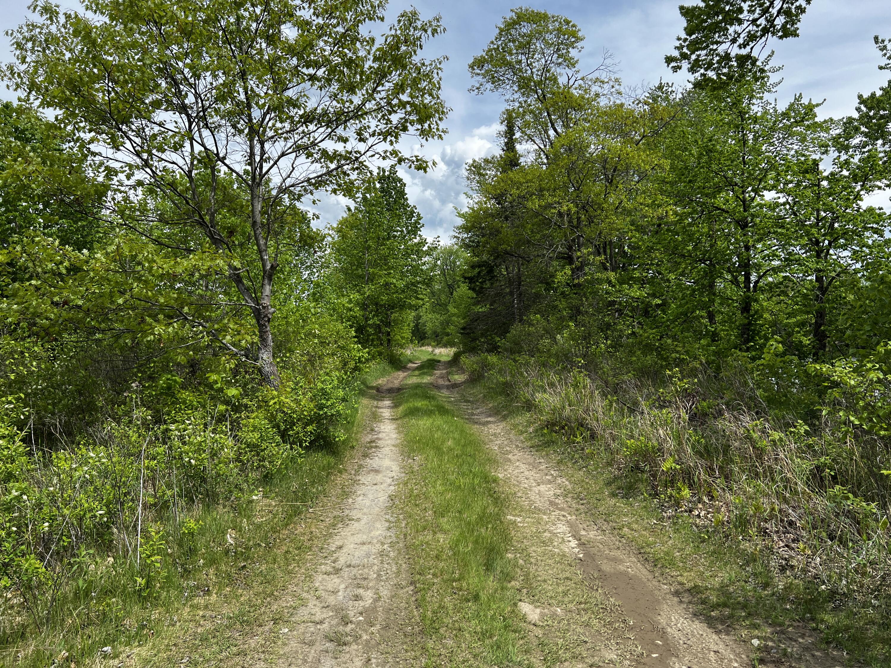 Lot 6 Emery Farm Road Medford ME 04463